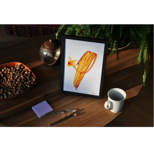 Lynx-photo-contexte-par-laurent-chiron Attracteur Lynx, par Mathérialis'Art