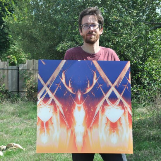 Fractale de Lyapunov Patronus par Laurent Chiron